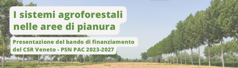 Incontro "I sistemi agroforestali nelle aree di pianura, presentazione del bando di finanziamento Csr-Pac" 650