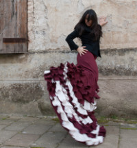 Spettacolo "Aire flamenco"